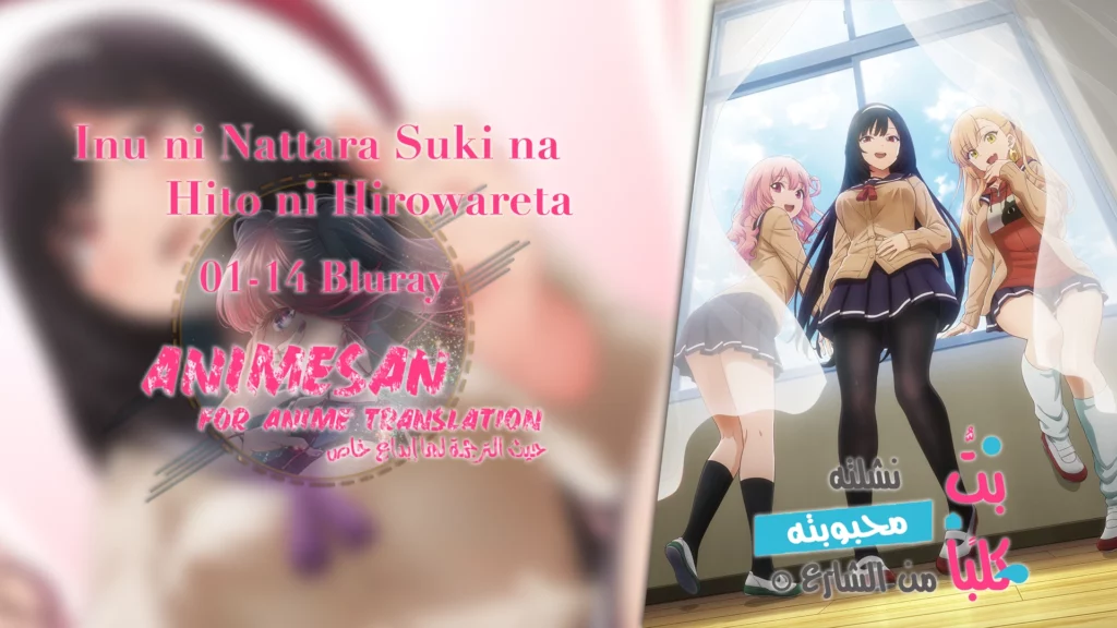 Inu ni Nattara Suki na Hito ni Hirowareta – 01~14 Bluray